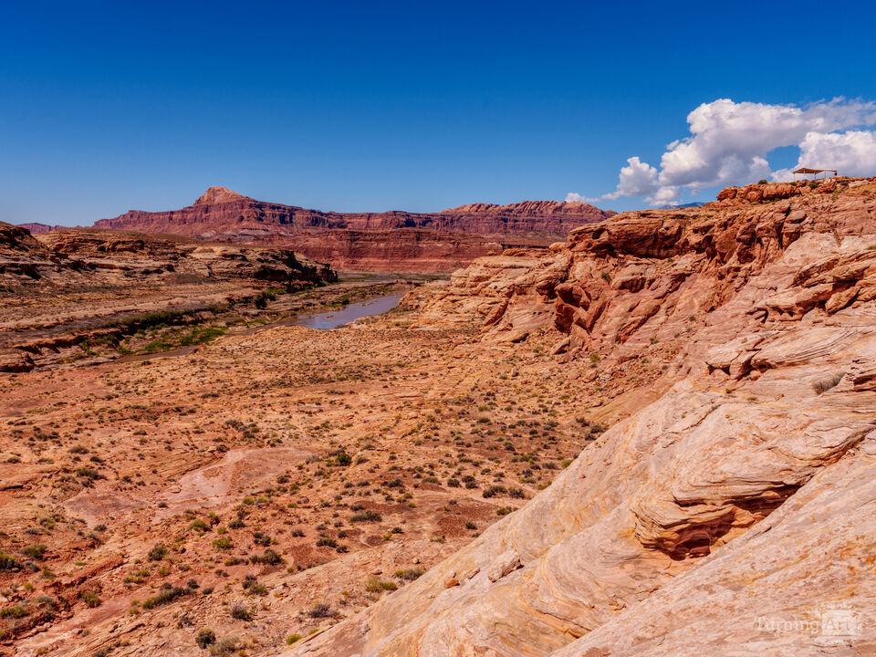 Colorado River In Hite Utah