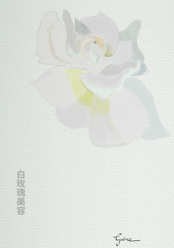 White Rose Hanzi