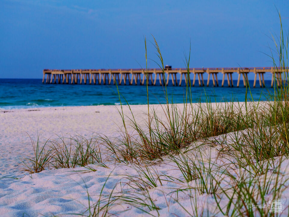 Navarre Pier Behind Sea Oats