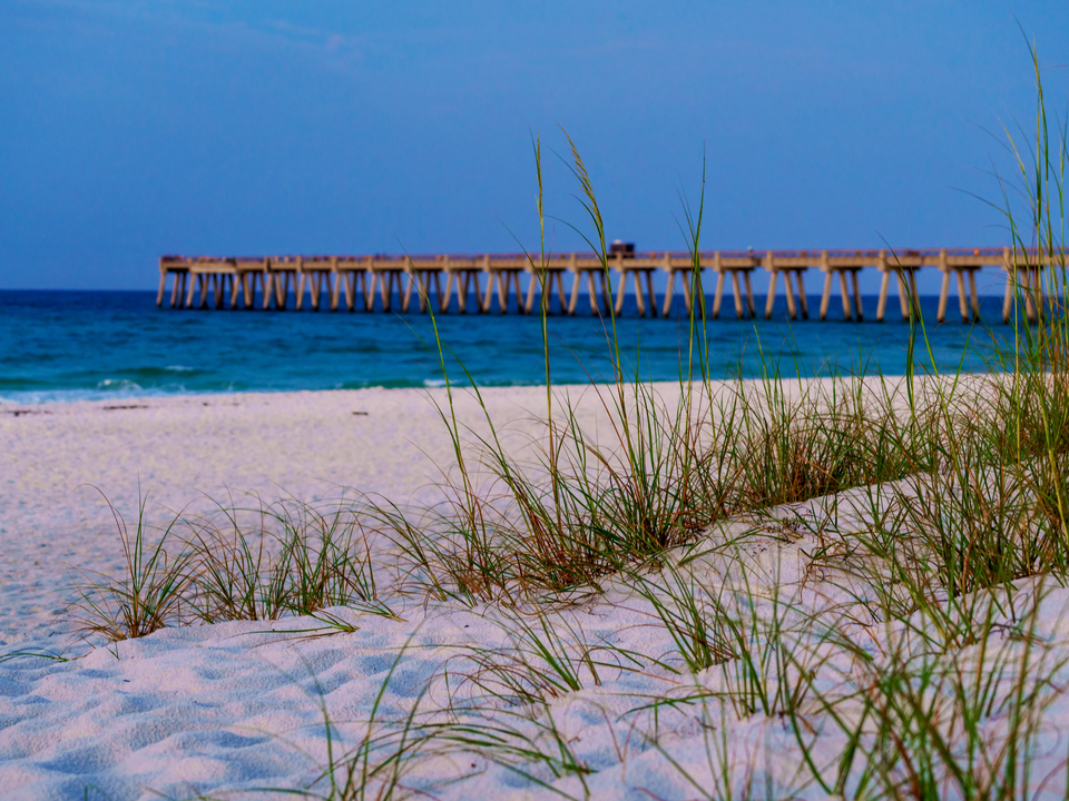 Navarre Pier Behind Sea Oats