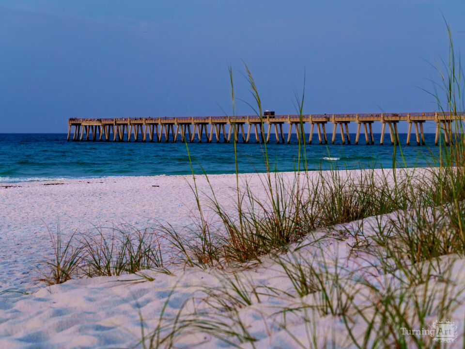 Navarre Florida Pier Behind Sea Oats