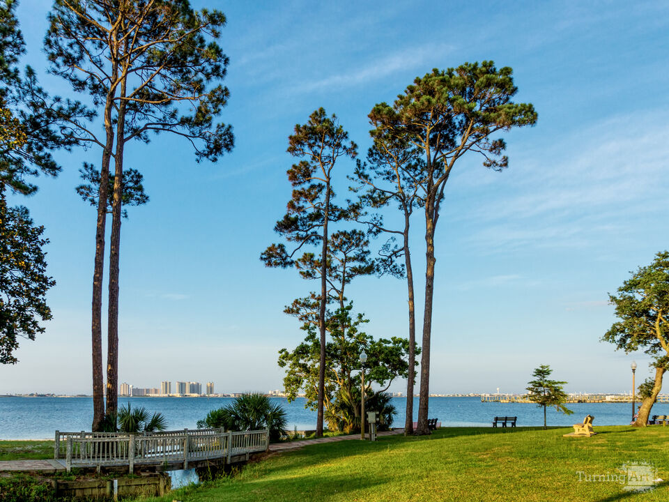 Navarre Beach Between Pine Trees
