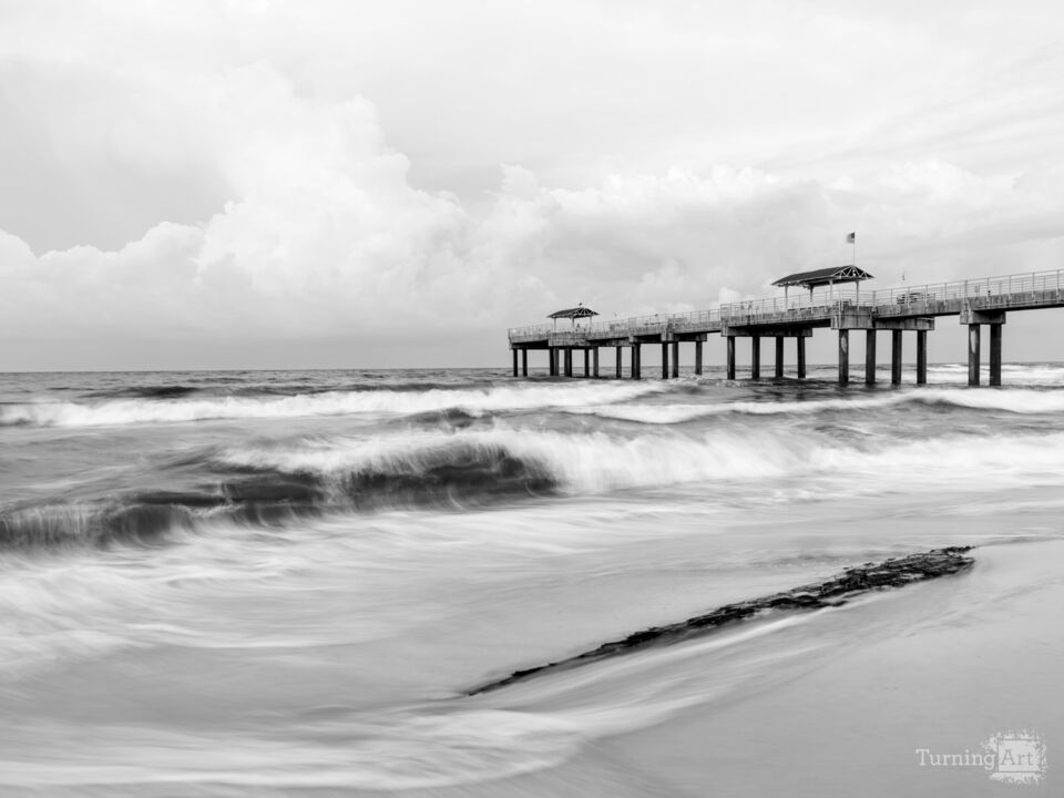 Orange Beach Tide And Timber Grayscale