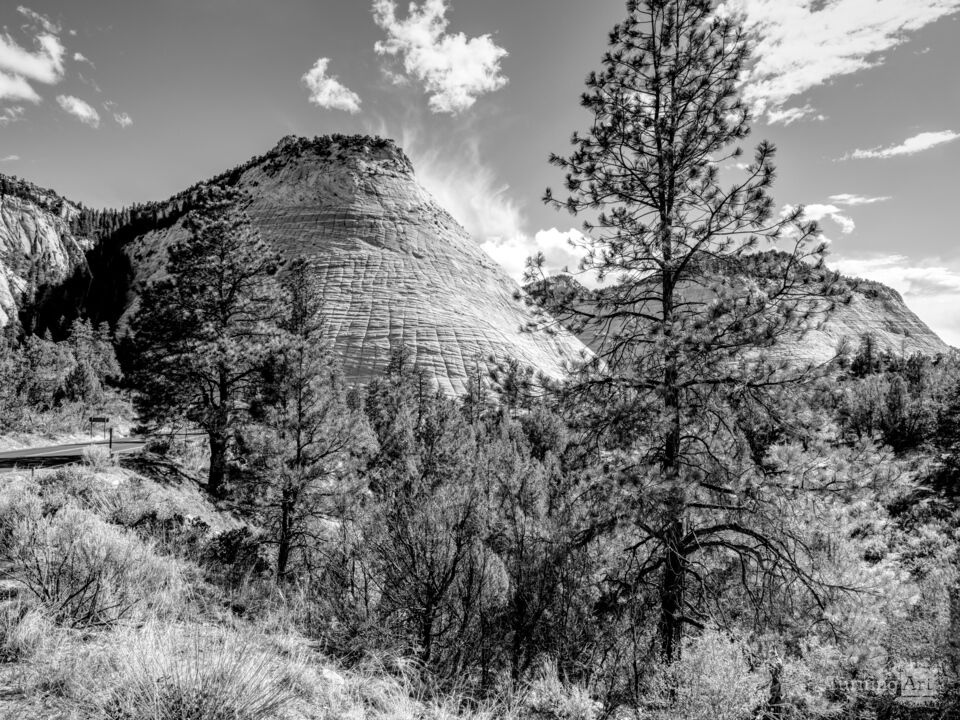 Checkerboard Mesa And Pine Tree Grayscale