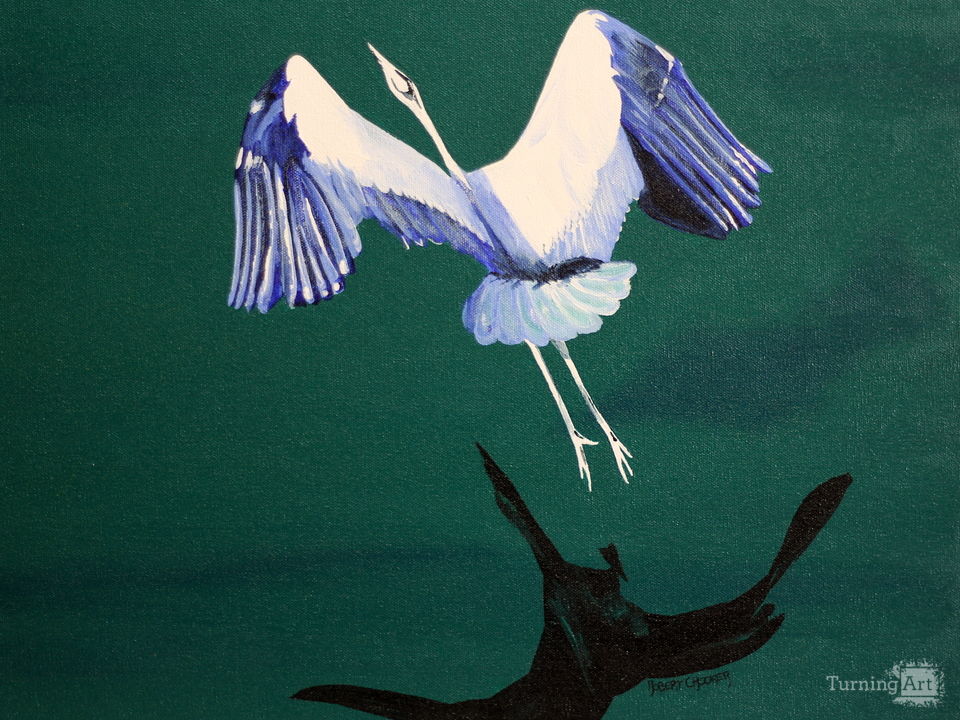 Reflection and Shadow