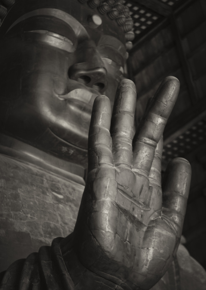 Buddha's Hand