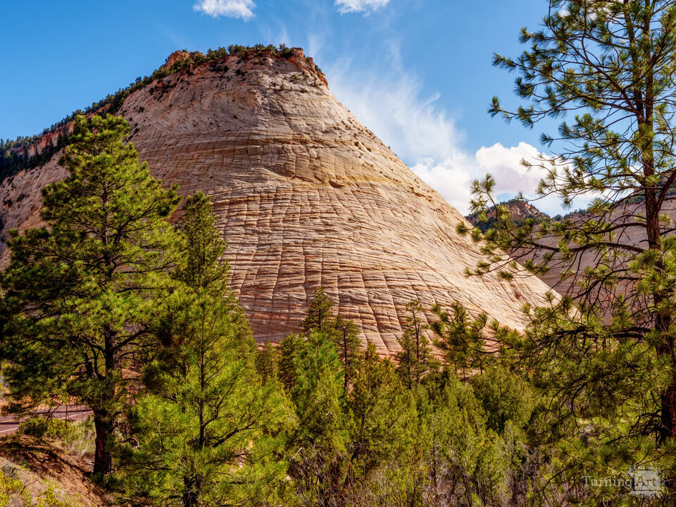 Zion Icon Checkerboard Mesa