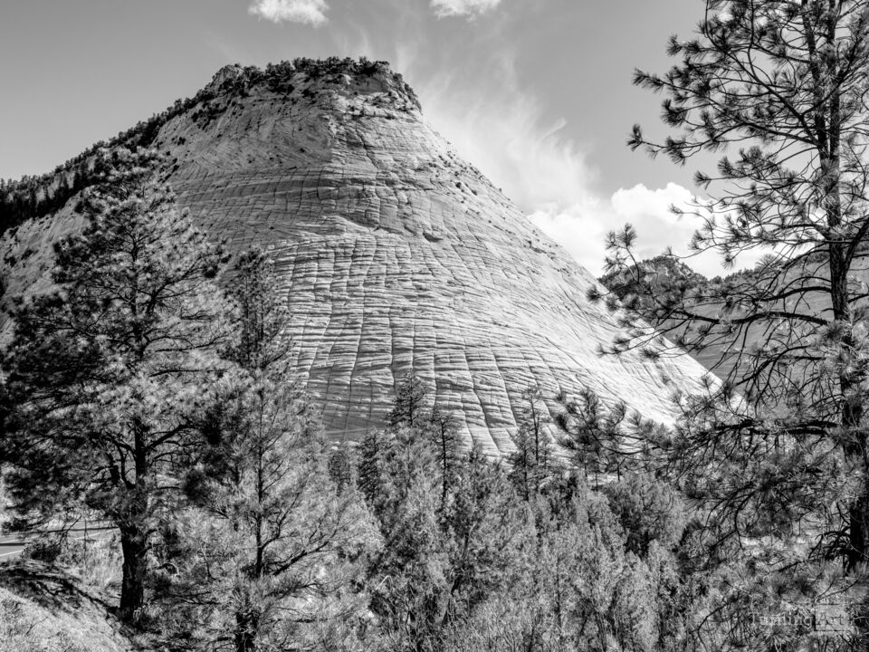 Zion Icon Checkerboard Mesa Grayscale