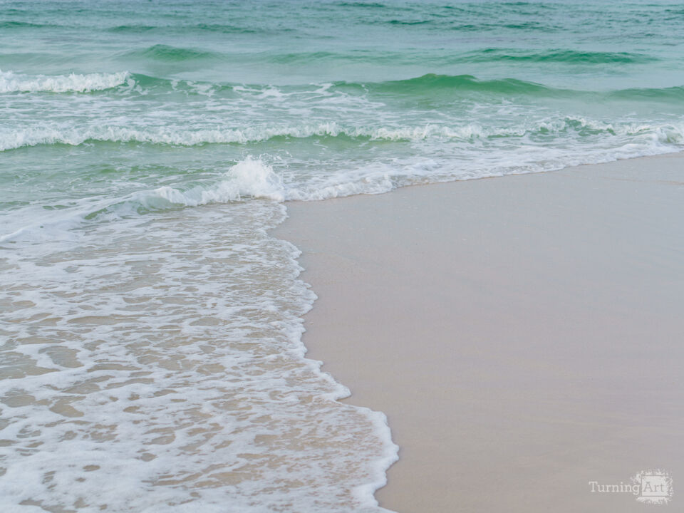 Navarre Waves In Motion