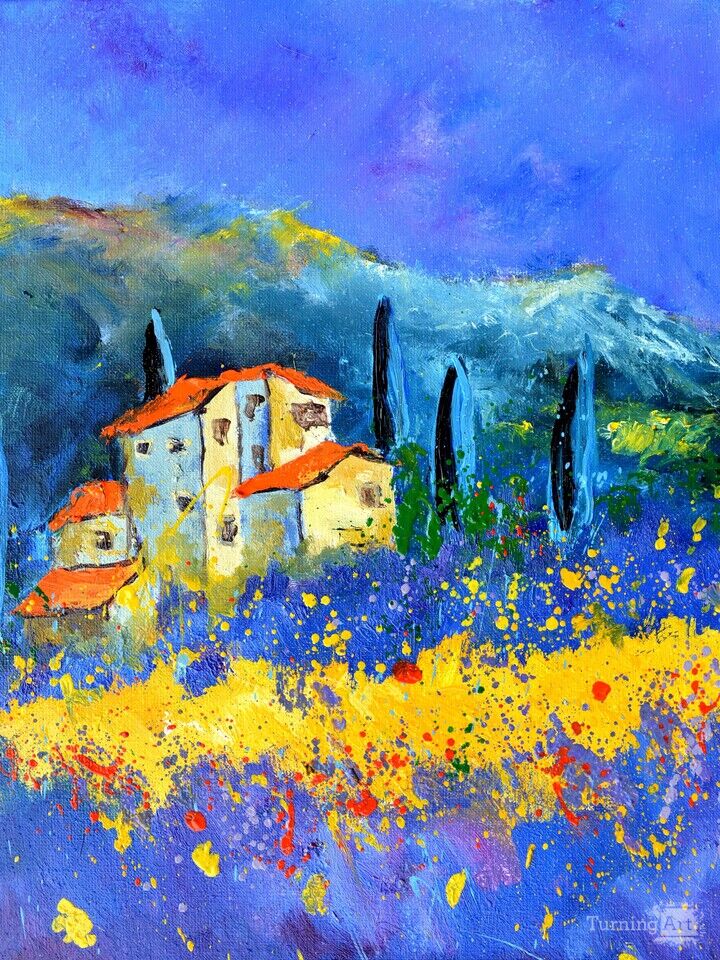 Summer flowers in Provence 