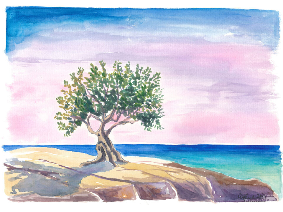 Greek Olive Tree Dreams Above the Sparkling Mediterranean Blue