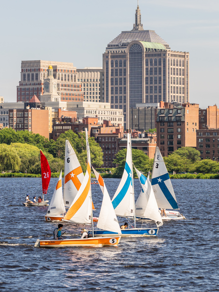 Boston Sailing No.19