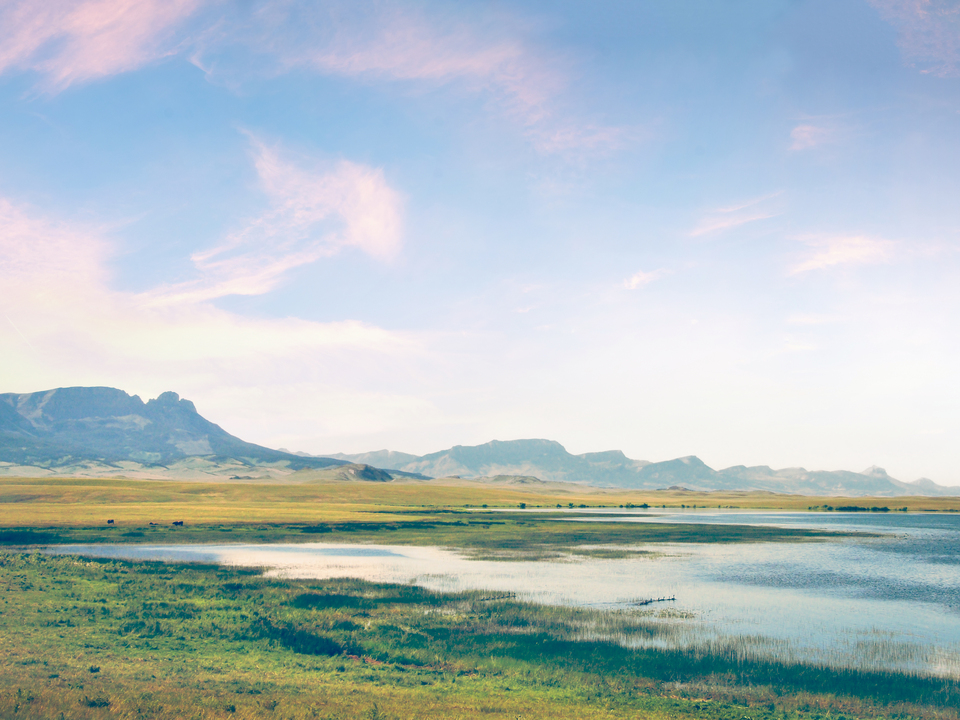 A Path Less Traveled