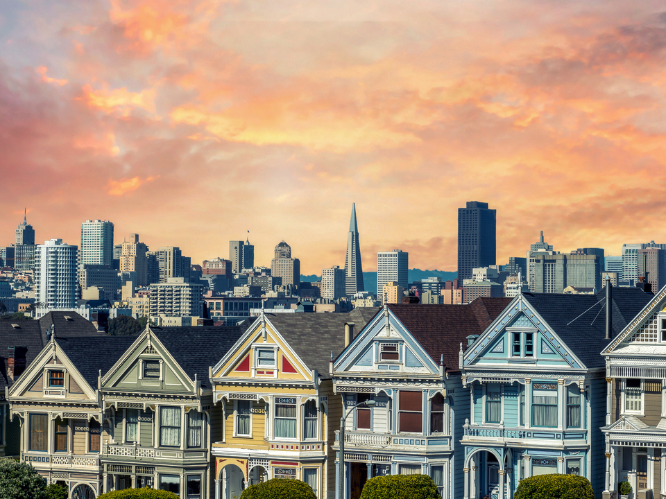 Painted Ladies In Color