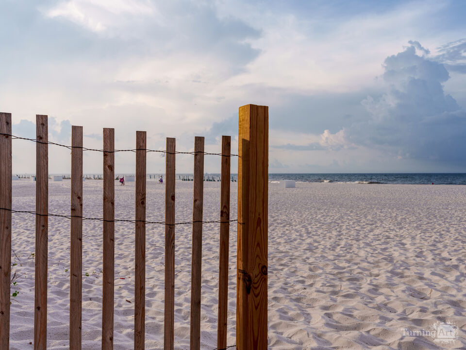 Orange Beach Morning By Sand Fence
