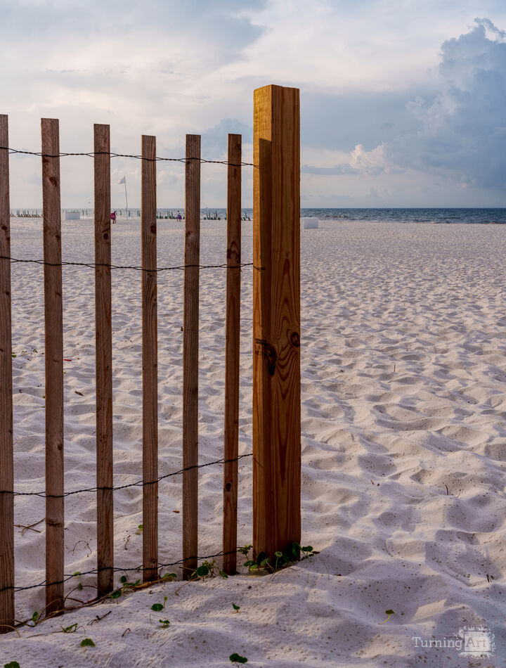 Orange Beach Morning By Sand Fence Vertical
