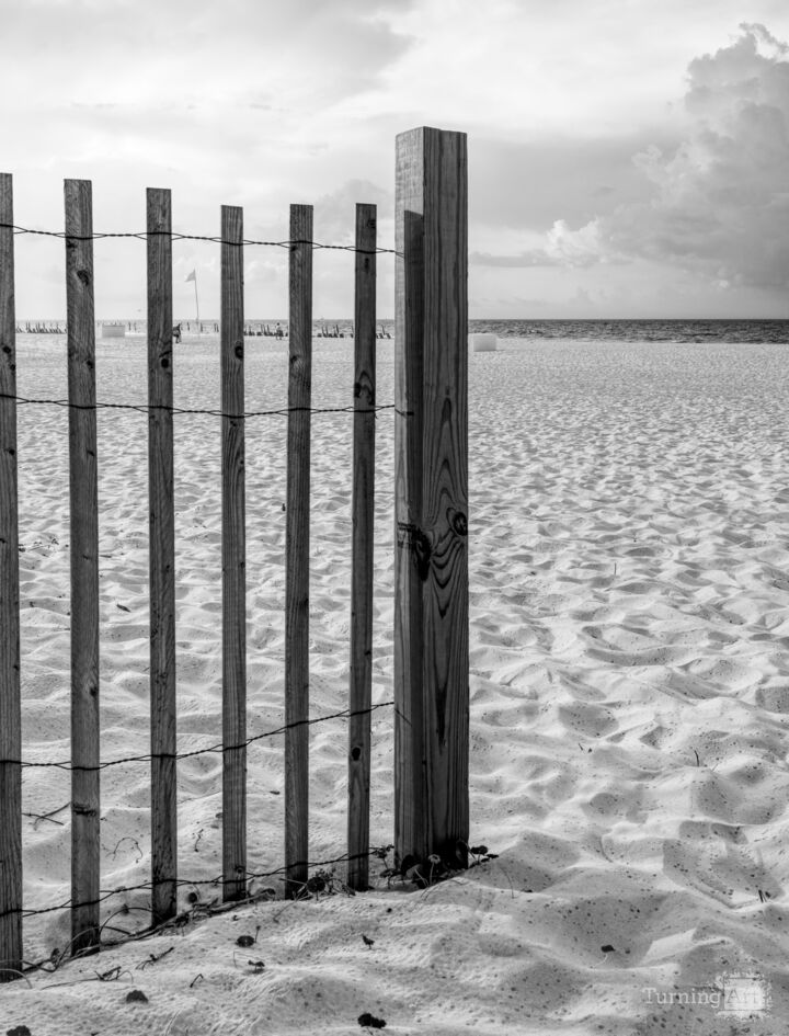 Orange Beach Morning Sand Fence Vertical Grayscale