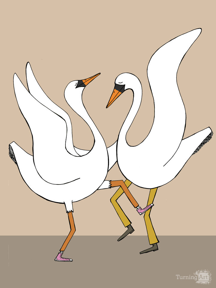 Dancing Swans