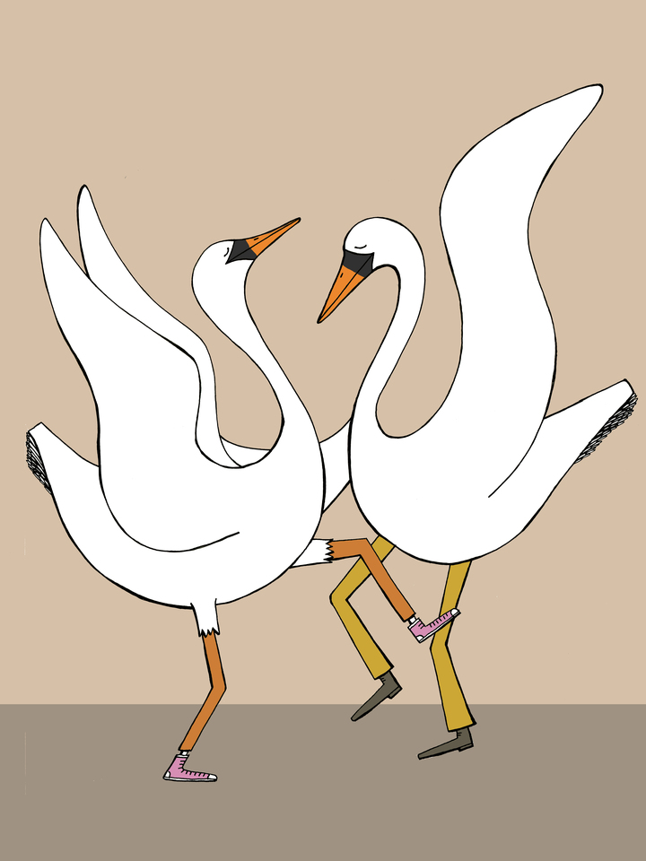 Dancing Swans