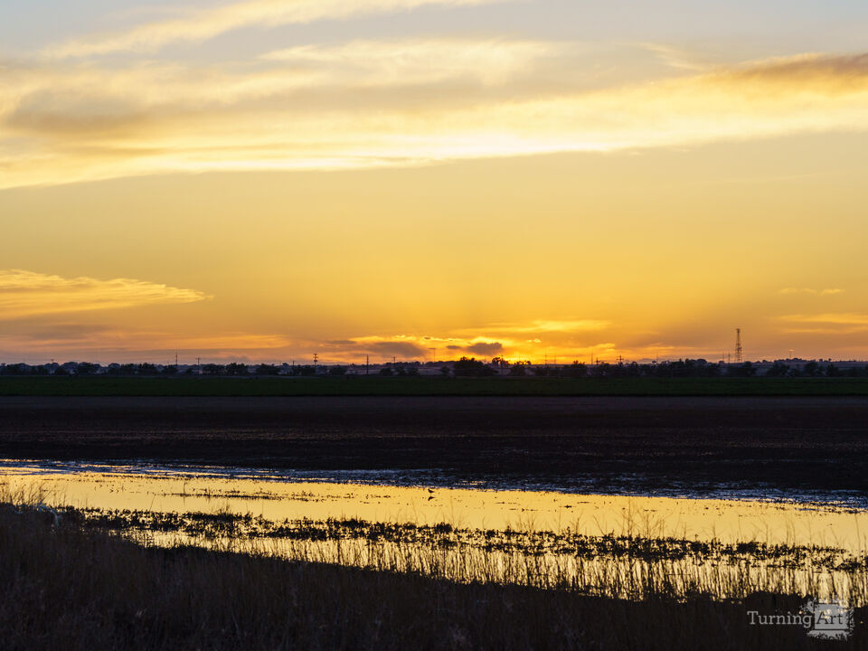 Colorado Farm Golden Sunset Glare