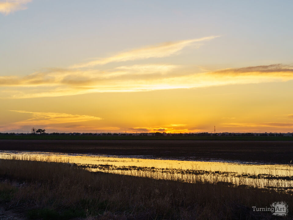 Golden Sunset Reflections Colorado Farm