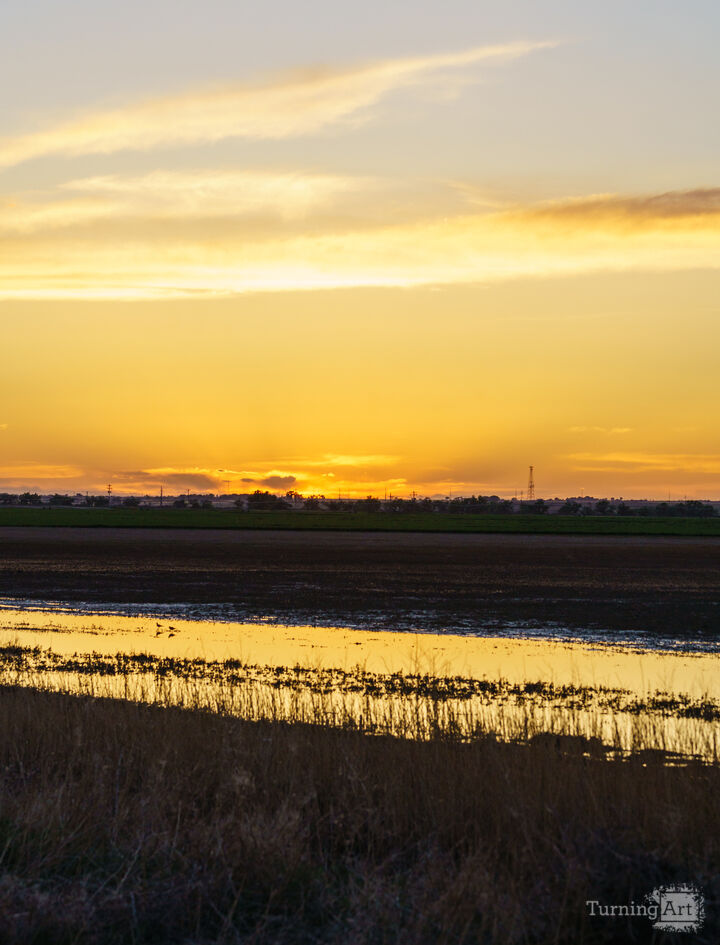 Colorado Farm Golden Sunset Glare Vertical