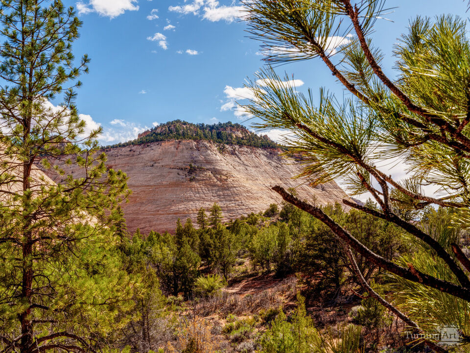 Zion Crazy Quilt Mesa