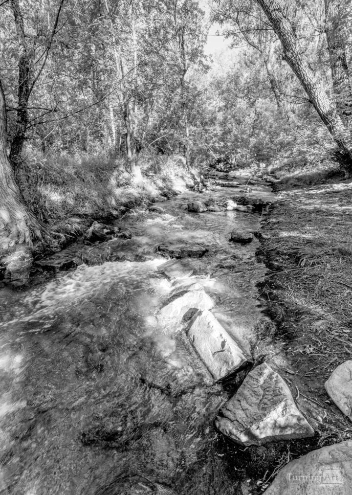 Fountain Creek In Manitou Springs Grayscale
