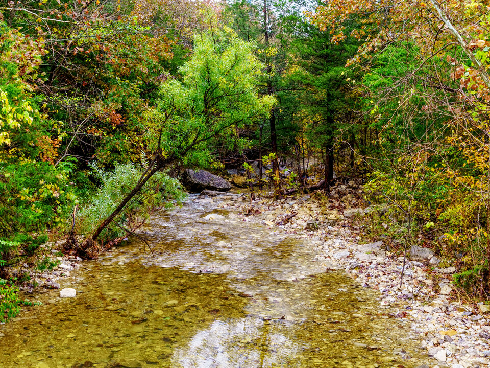 Autumn Glare Over Fall Creek