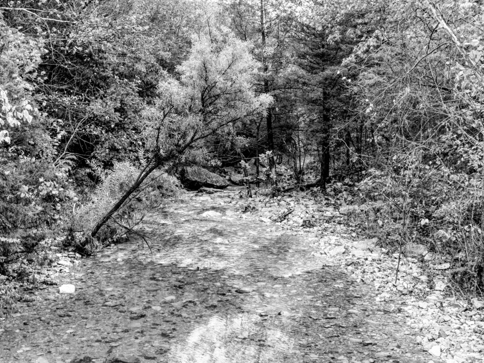 Autumn Glare Over Fall Creek Grayscale