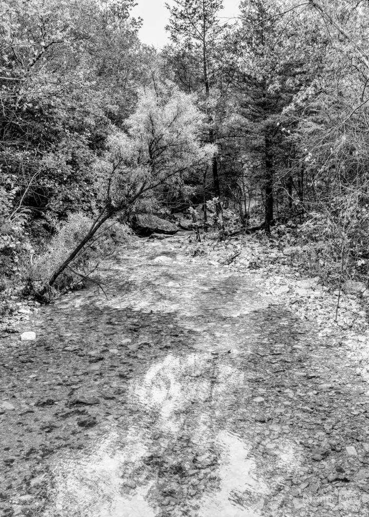 Autumn Glare Over Fall Creek Vertical Grayscale