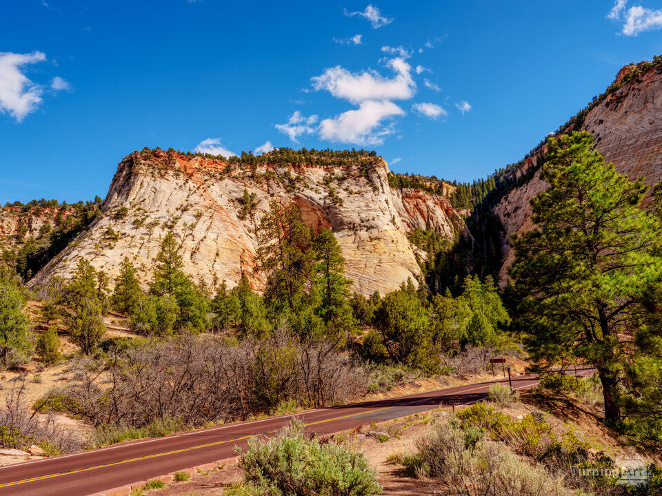 Cream Mesa Along Mount Carmel Highway