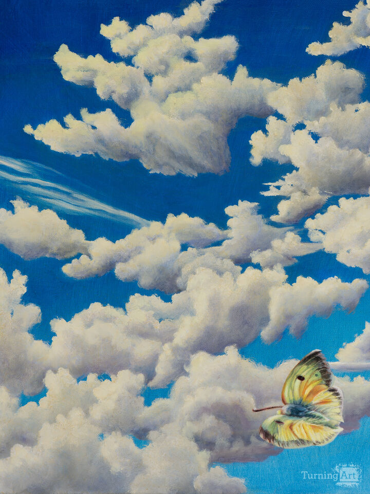 Portrait of the Viewer as a Butterfly