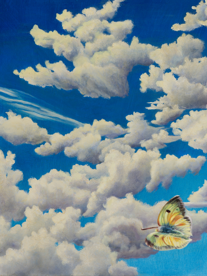 Portrait of the Viewer as a Butterfly