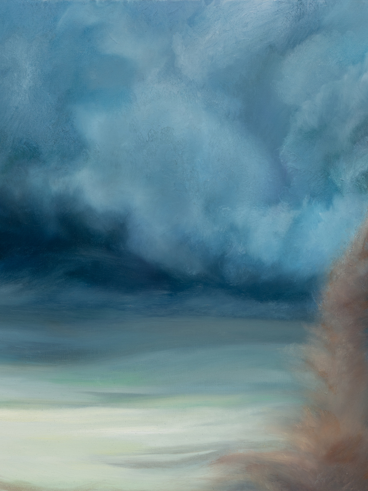 Portrait of the Viewer as a Force of Nature