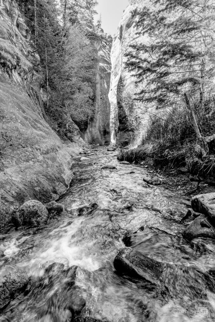 Kanarra Spring Creek Slot Canyon Grayscale