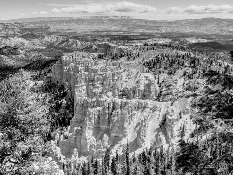Bryce Canyon Rainbow Point Grayscale