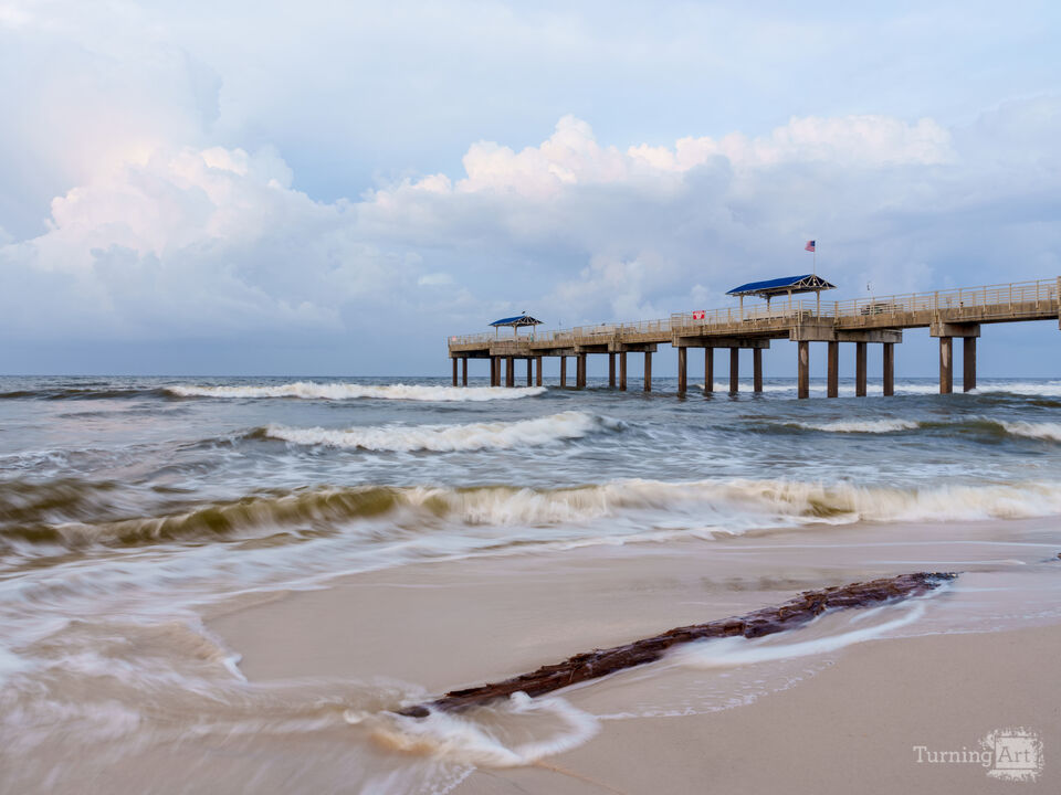 Alabama Gulf Driftwood Morning