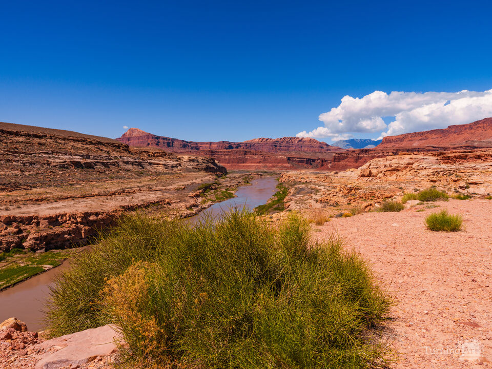 Colorado River Hite Utah Vista