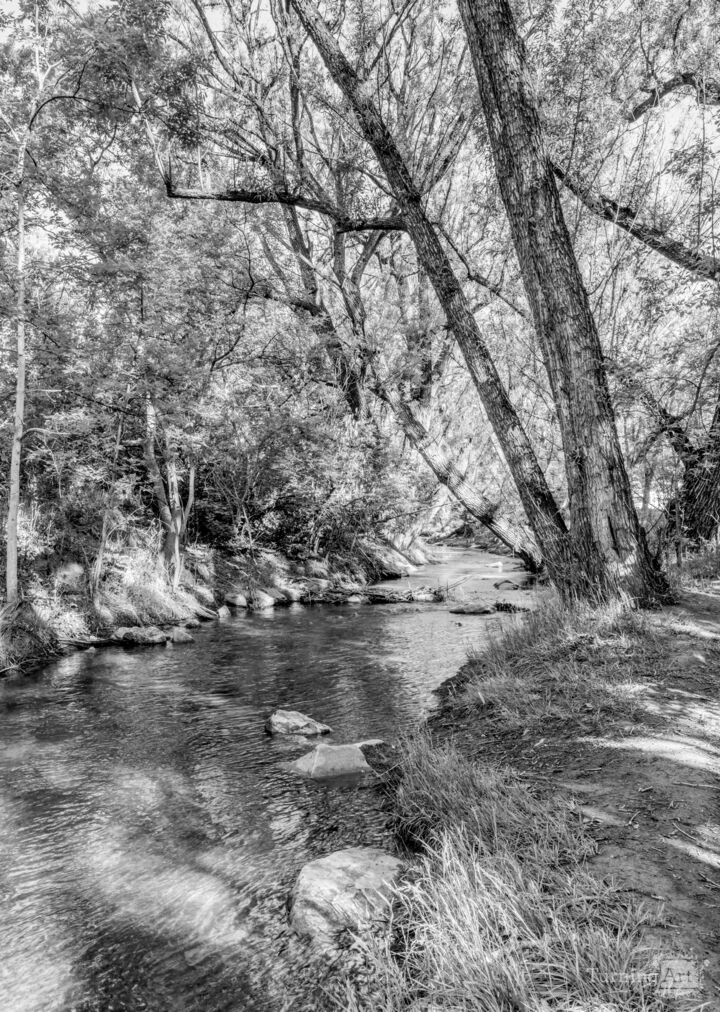 Manitou Springs Fountain Creek Grayscale