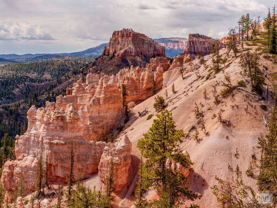 Swamp Canyon Overlook Bryce