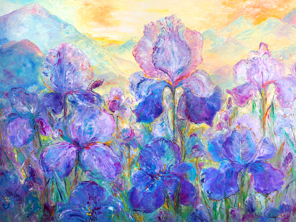 Irises at Sunrise