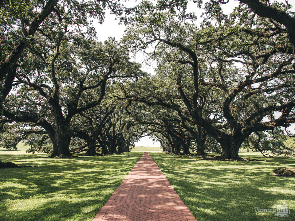 Pathway of History 2