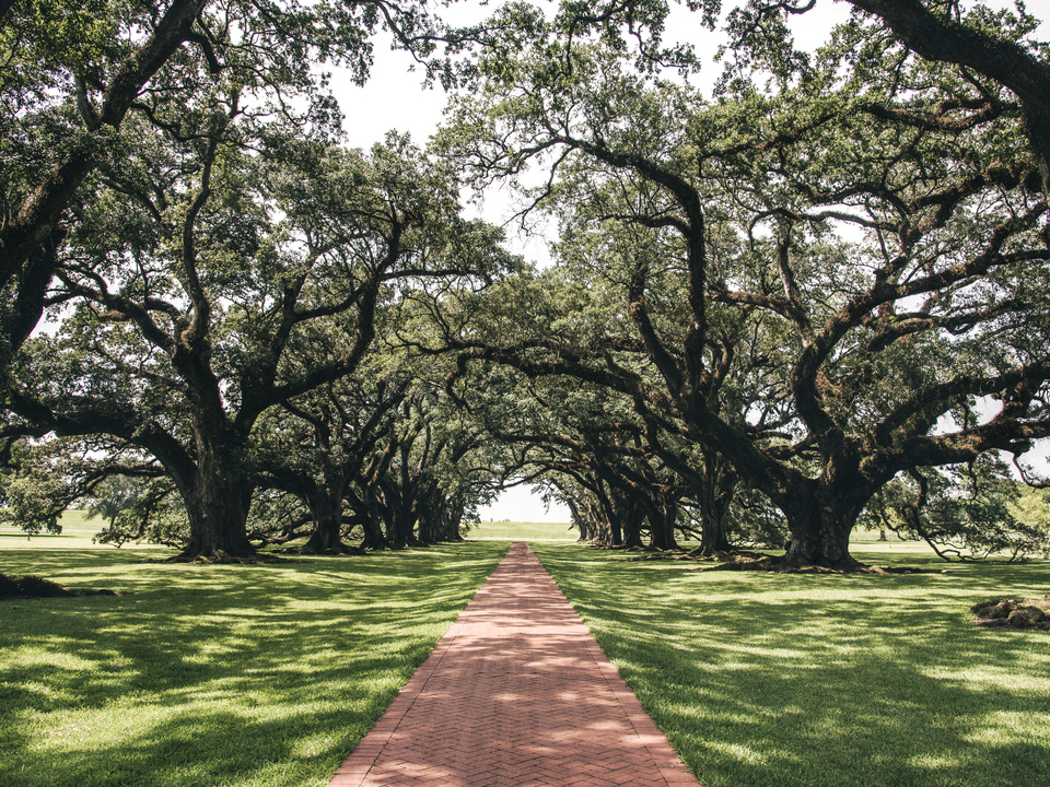 Pathway of History 2