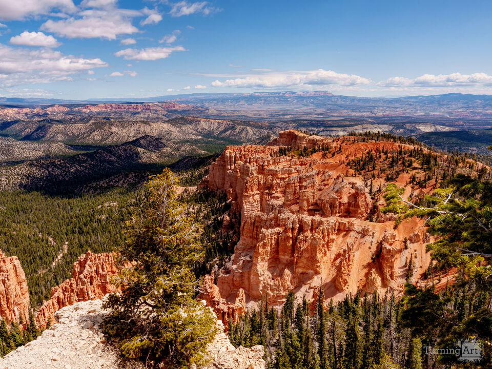 Rainbow Point View From Bryce Canyon