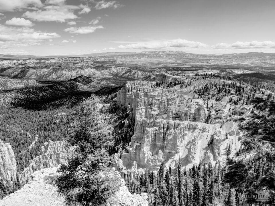Rainbow Point View From Bryce Canyon Grayscale
