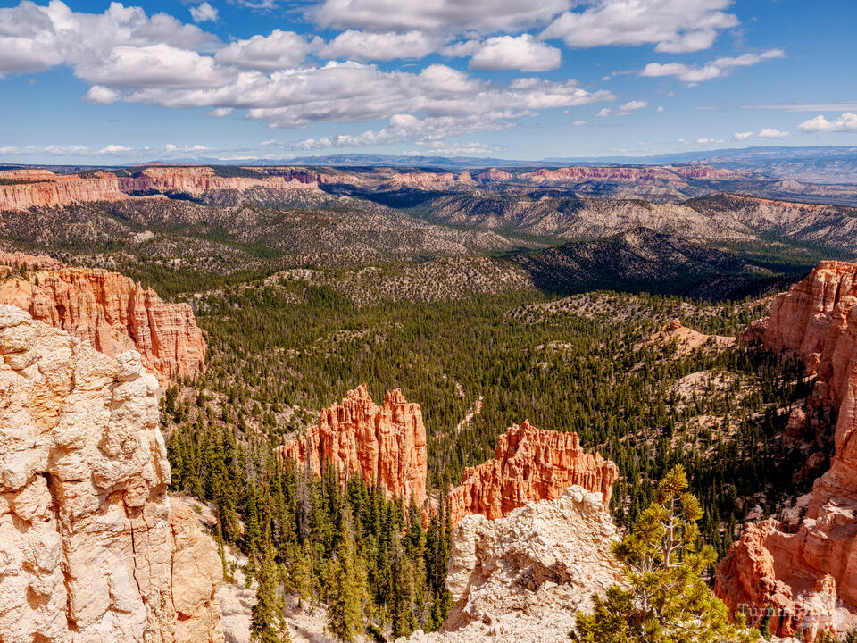 Rainbow Point Bryce Canyon