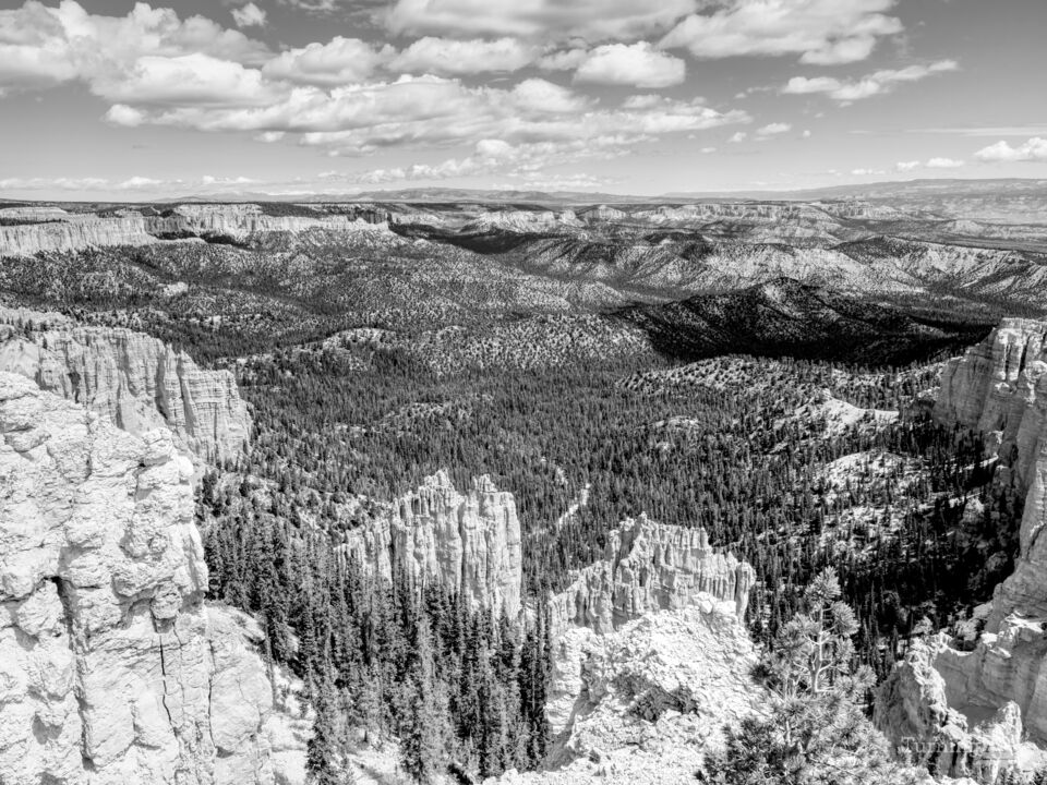 Rainbow Point Bryce Canyon Grayscale