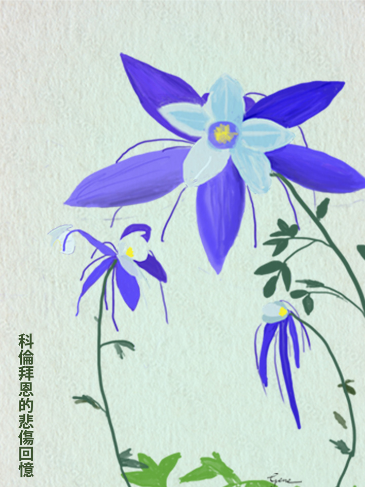 Blue Columbine Hanzi