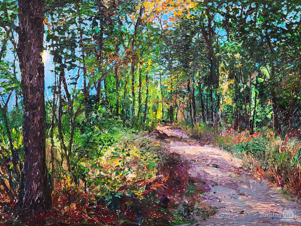 Oak Openings Preserve